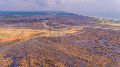 Sterling Petrochemical causing environmental damage, forced evictions from our land — Eastern Obolo people
