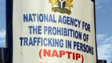 No cases of organ harvesting reported in any hospital, clinic in Akwa Ibom – NAPTIP 