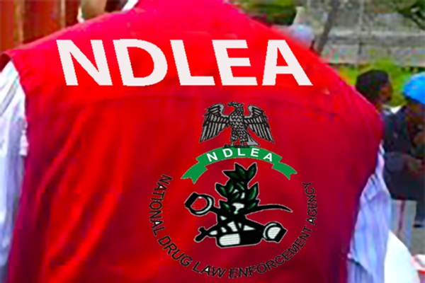 NDLEA arrests 799 suspects, seizes 2,000kg of hard drugs in Akwa Ibom