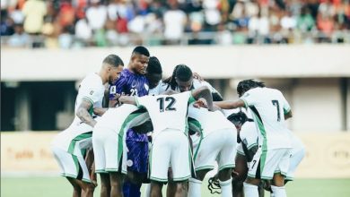 Super Eagles need better pitch to qualify for 2026 World Cup — Ebi Egbe