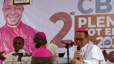 IVF is morally wrong, childless couples should consider adoption — Catholic bishops