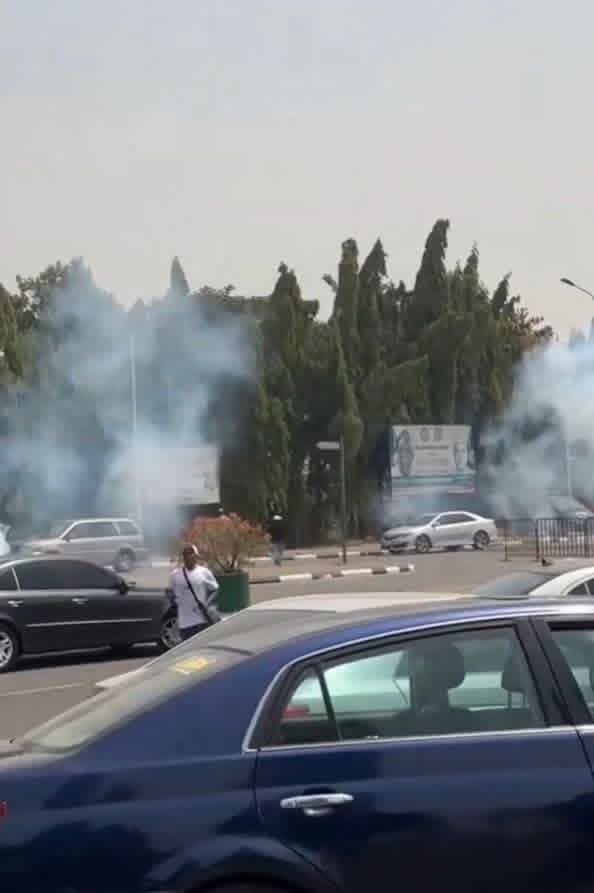 Police tear gas protesters at N’Assembly