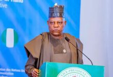 Vice President Kashim Shettima