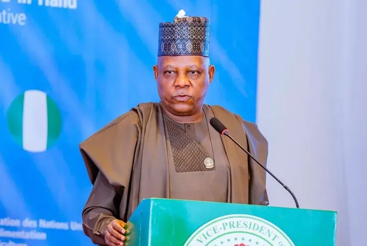 Vice President Kashim Shettima