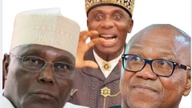 2027 Presidential race: Ego, tribalism, power struggles may derail ADC