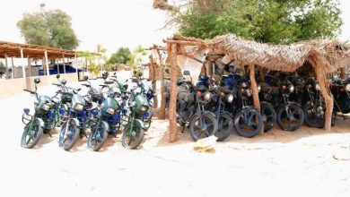Two soldiers killed as troops foil ISWAP attack in Borno