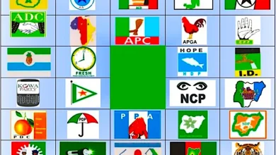 NDC: The New Bride in Nigeria’s Political Arena