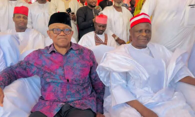 FULL LIST: Names, credentials of 2027 presidential candidates released by INEC 6 • Peter Obi & Rabiu Kwankwaso