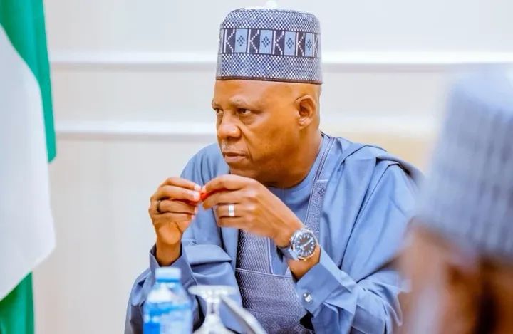 FULL LIST: Names, credentials of 2027 presidential candidates released by INEC 8 Shettima