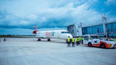 Nigerian Carriers Push West and Central Africa: What Air Peace and Ibom Air’s New Routes Mean for Aviation and the Economy