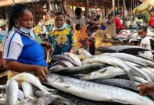 Akwa Ibom's Sleeping Seafood Giant