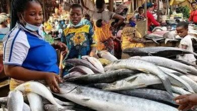 Akwa Ibom's Sleeping Seafood Giant